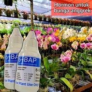 Hormon Anggrek 6 BAP Biru 6-BAP BENZYLAMINOPURIN 30 ML