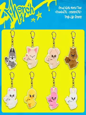 In Stock Stray Kids Incheon Encore Pop-up Flat Acrylic Keychains Hyunjin Felix SKZ Bag Pendants Kpop