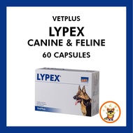 Vetplus Lypex Canine Dog 60 Capsules (1 Box)