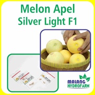 premium quality 30Benih Melon Apel Silver Light F1 Unggulan Berkualitas biji bibit repack buah putih