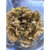 Kerepek Peria dan Bayam Brazil