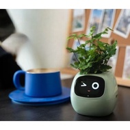 Plant Flower Tray AI Intelligent Robot Companion Interactive Programming AI Emotional Dialogue Offic