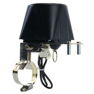 Electric Automatic Gas Pipeline Manipulator Valve DN15 DN20 DN25 for Gas Water Alarm 12V Shutoff Cut