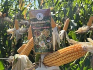 B-Organic Plus บีออร์แกนิค 100 CC. อาหารเสริมพืช ของแท้