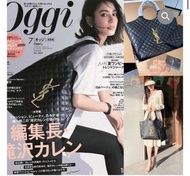 Ysl 雜誌單肩包