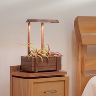 【原木盆智慧植物燈 暖棕色】不含植物 原木植物燈 智能APP控制