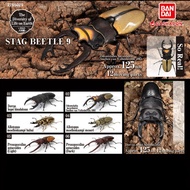 Gashapon Stag Beetle 9 (Ikimono Daizukan Kuwaita 09)