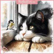 ❥perfectFU  DIY Cat Paint by Numbers Kits Drawing Paintwork on Canvas 15.75x15.75inch Without Frame 