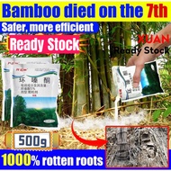 Big trees rot at the roots Racun pokok kayu besar 500g Racun pokok paling kuat 5% Hexazinone Tree ki