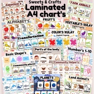 A4 size charts for kids fullylaminated