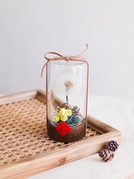 心願蒲公英玻璃罐