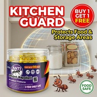 No Ants Inside! BS Ants repellent Ant gel Just add water, continuous use.Ant killer Pest repellent P