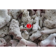 Water filter coral - Ph balance