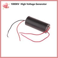 Purelove> High Voltage Generator High Voltage Module Transformer Step-up Module 3-6V 400KV 1000KV ne