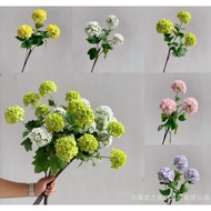 3 BRANCHES LUCKY SNOWBALL