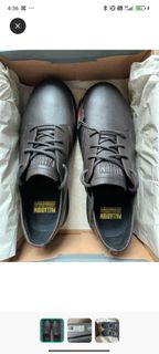 Palladium Pampa  巧克力色 男鞋