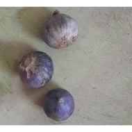 5kg of Solo Garlic (Bawang Putih Tunggal) • 5kg of Single Bulb Clove Garlic