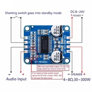 DY-AP3001 Power Amplifier Board Monoblock Amplifier Class D
