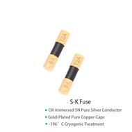 S-K Audiophile Grade Single Crystal Pure Silver Oil-Immersed Fuse for CD Players Amplifiers Tube Hi-