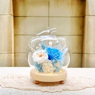 大蘋果/永生花/乾燥花/夜燈/玻璃盅/玻璃罩