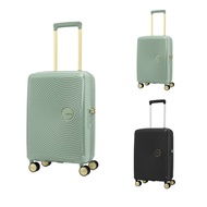 AMERICAN TOURISTER Rolling Luggage (20 Inches) CURIO SPINNER 55/20 TSA Gold Wheels
