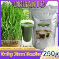 Barley grass official store Organic Barley Grass Powder original 250g Grass Juice Powder with Rich Dietary Fiber, No Addtives