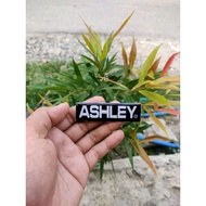 ASHLEY LOGO | ASHLEY EMBLEM | ASHLEY LABEL | 3D Embossed ASHLEY STICKER