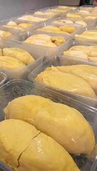 Durian Duren Montong  500gr kupas beku / Buah Durian Montong Kupas 500gr beku