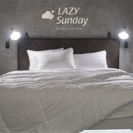 Inner Duvet Duve Insert/ Quilt Insert/ Microfiber Hotel Blanket/