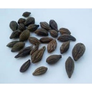 BUAH CEKELI/KEDEKAI BUAH LANGKAU (KELENTIK) [READY STOCK] 100G‼️