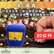 【現貨免運】B1+活力素 20公升 微綠 開根劑 定植、移植、嫁接、扦插、壓條、分株、播種、育苗、種子發芽【城市花園】