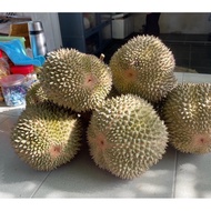 [PROMO] Frozen Durian Paste (MUSANG KING ,RED PRAWN ,101 ,D24 ,GANJA )MIX