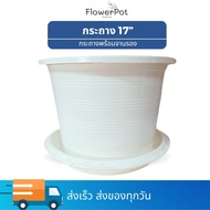 [รวมไซส์] กระถาง พร้อมจานรอง ถูก 8 นิ้ว 10 นิ้ว 12 นิ้ว 15 นิ้ว 17 นิ้ว สีขาว ดำ กระถางค้นไม้พลาสติก