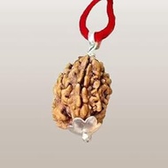 A&S Ventures Powerful 3 Mukhi Rudraksha Card for Self-Power & Healing | Energized Rudraksha for Conf
