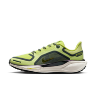 Nike Pegasus 41 GORE-TEX 女子防水公路跑步鞋