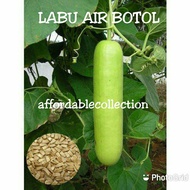 Hybrid High Yield Bottle Gourd Seed / Biji Benih Sayur Labu Air Botol (It's a seed, not a plant!)