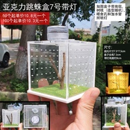 Jumping Spider Breeding Box Small Non-Trapping Landscaping Box Florida Jumping Spider Insect Belt Hu