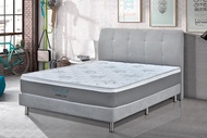 Bed and Mattress Package | Euro Coil mattress and Divan Bed | All size available | Free Installation | Free Delivery