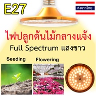 ส่งด่วนจากไทย ไฟปลูกต้นไม้กันน้ำ ไฟปลูกพืชกลางแจ้ง 48 LED IP64 E27 Full Spectrum โคมไฟเร่งโต สำหรับผักผลไม้ ไฮโดรไฮโดรโปนิกส์ ดอกไม้ ไม้ประดับ