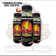 DOPING GACOAN GACORMAXX BURUNG PLECI SOGON COLIBRI PERAWATAN HAIWAN BURUNG