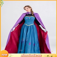 24 Hours Delivery WW Frozen elsa elsa Frozen Queen Adult Gift Halloween Costume Anna Princess Dress 