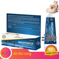 Hanpet Ant-Type Gel Bayer Maxforce Quantum 0.03% (12g)