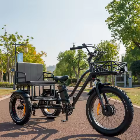 Fat Tire 3-Wheel Mid Drive Fast Electric Tricycles Bike E Cycle Two Person Electric Tricycle 2 Seate