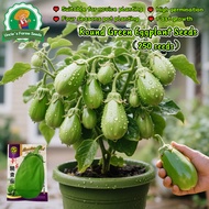 250seeds High Yield Big Green Eggplant Seeds for Planting Vegetables Plants Round Eggplant Seeds Veg