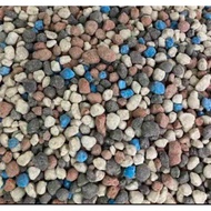 Baja 10/6/25 (2.5kg) / Baja Buah