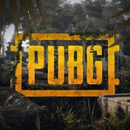 🔥PUBG儲值🔥極速到帳/正規貨源