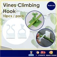 [10 PCS] AnyGoods Plant Climbing Wall Fixture Clips with 3M Sticker / Wall Vines Fixture / Wall Stic