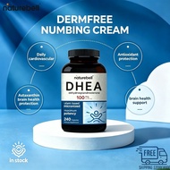 NatureBell DHEA 100mg-240 Capsules DHEA Supplement for Energy Levels Immune Health & Healthy Aging S