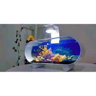 (**) Aquarium mini pvc/akrilik/aquarium untuk ikan kecil/aquarium