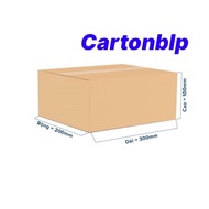 Carton Box size 30x20x10cm